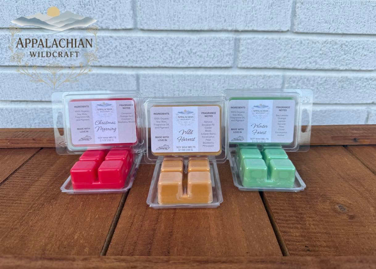 The Safest Wax Melts You’ll Ever Burn
